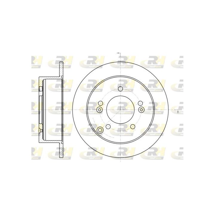 Stabdžių diskas ROADHOUSE 6766.00