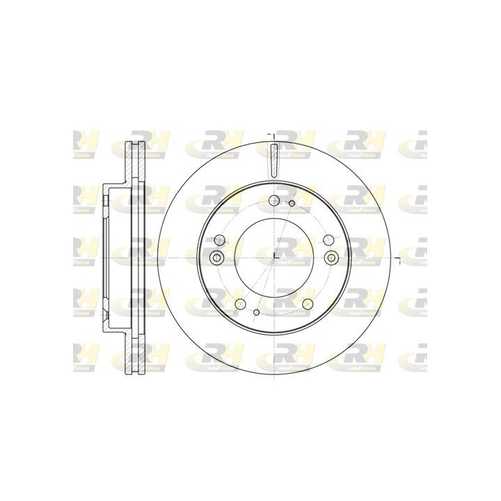 Stabdžių diskas ROADHOUSE 6790.10