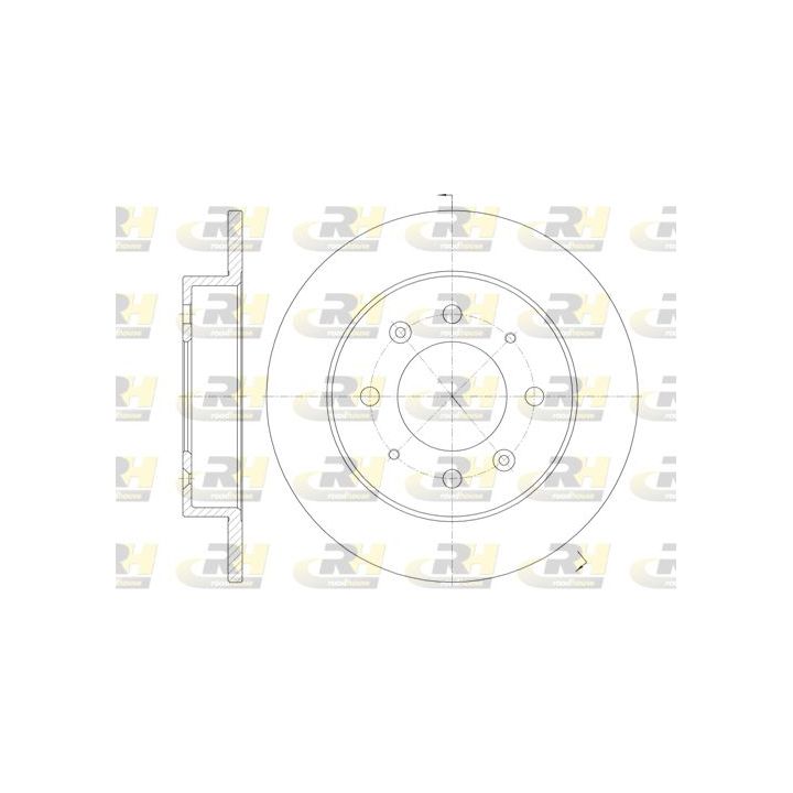 Stabdžių diskas ROADHOUSE 6874.00