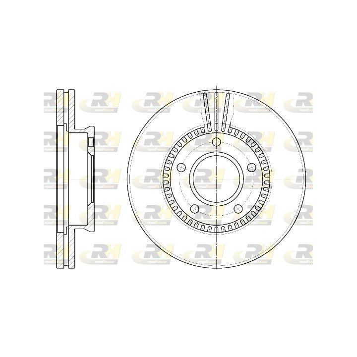 Stabdžių diskas ROADHOUSE 6892.10