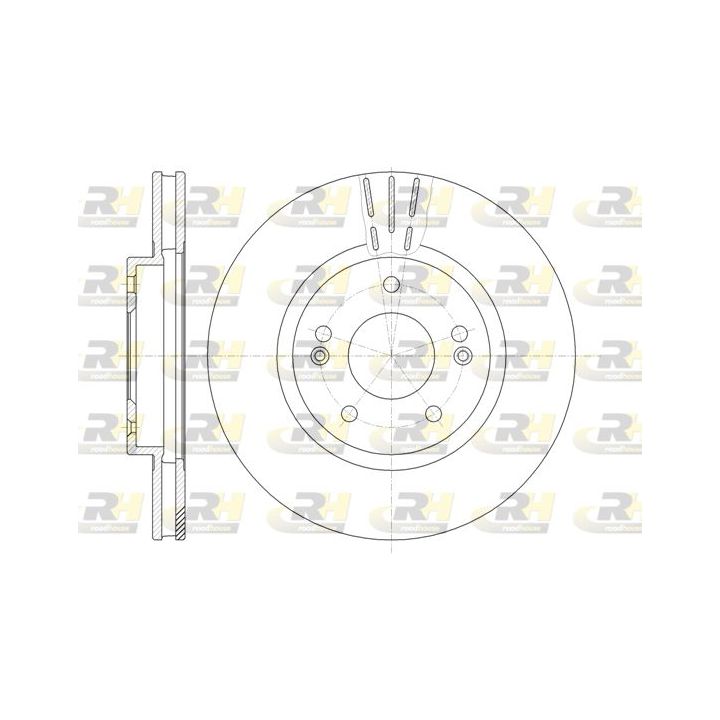 Stabdžių diskas ROADHOUSE 6897.10