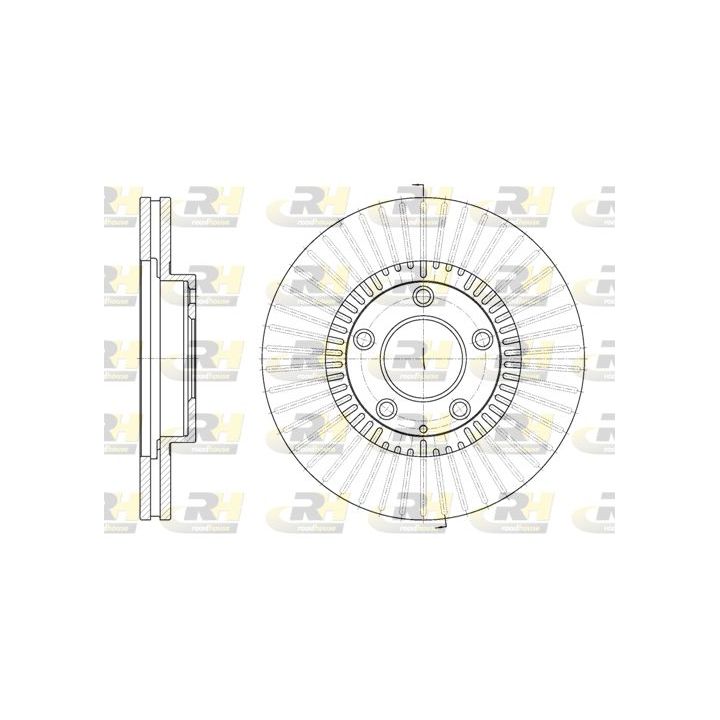 Stabdžių diskas ROADHOUSE 6898.10