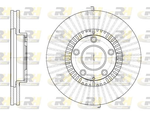 Stabdžių diskas ROADHOUSE 6898.10