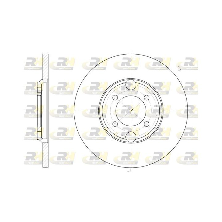 Stabdžių diskas ROADHOUSE 6919.00