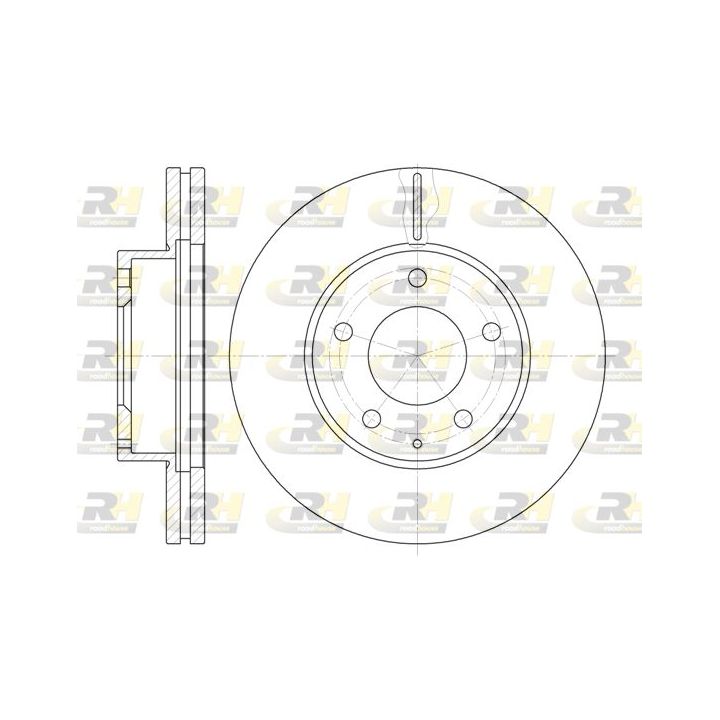 Stabdžių diskas ROADHOUSE 6936.10