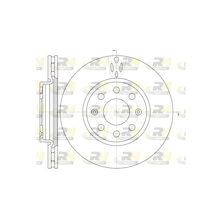 Stabdžių diskas ROADHOUSE 6981.10