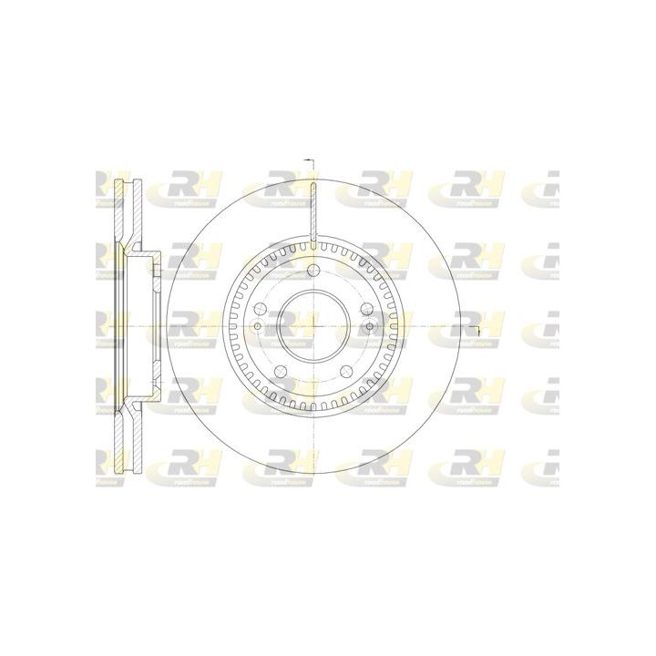 Stabdžių diskas ROADHOUSE 6988.10