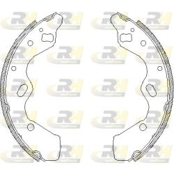 Stabdžių trinkelė ROADHOUSE 4110.00