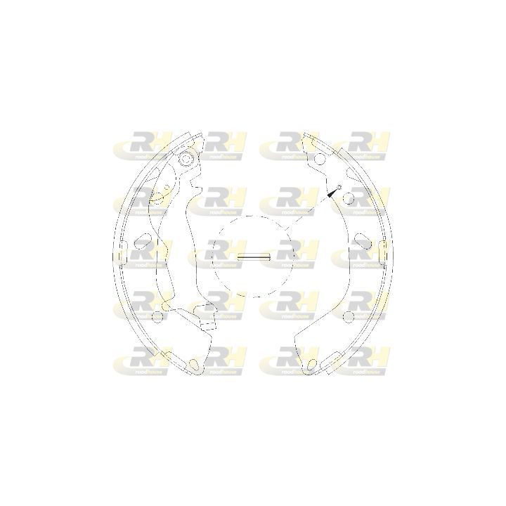 Stabdžių trinkelė ROADHOUSE 4193.00