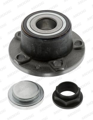 Rato guolio komplektas MOOG CI-WB-11436