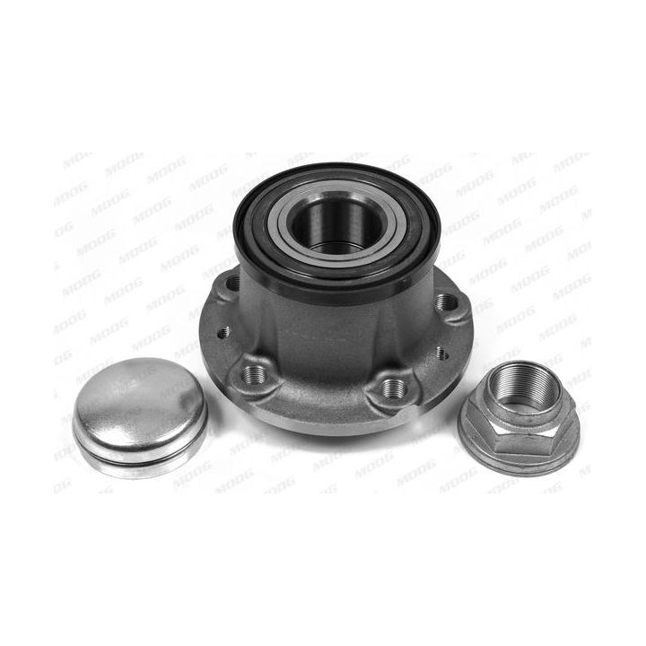 Rato guolio komplektas MOOG PE-WB-11419