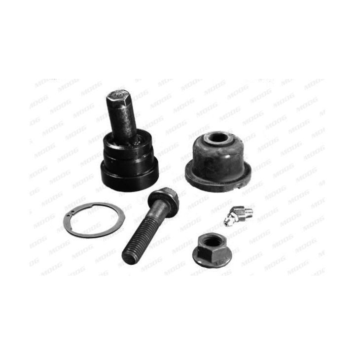 Šarnyras / girgždukas MOOG AMGK7147