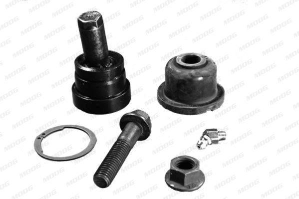 Šarnyras / girgždukas MOOG AMGK7147