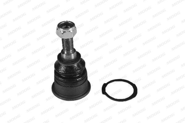 Šarnyras / girgždukas MOOG BM-BJ-10485