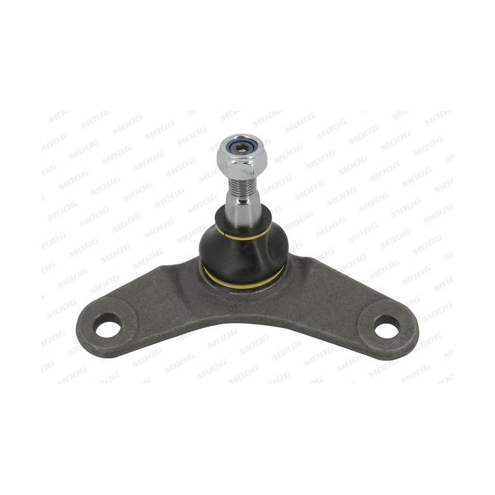 Šarnyras / girgždukas MOOG BM-BJ-1880