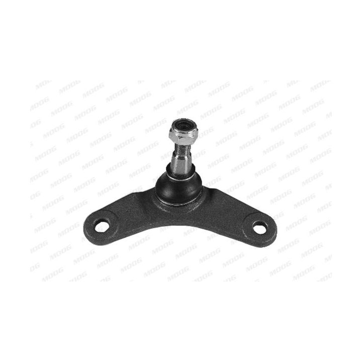 Šarnyras / girgždukas MOOG BM-BJ-1880