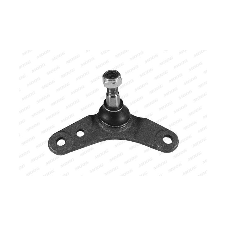 Šarnyras / girgždukas MOOG BM-BJ-1881