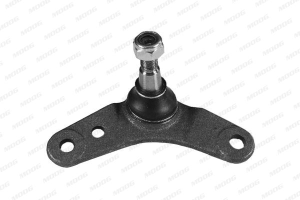 Šarnyras / girgždukas MOOG BM-BJ-1881