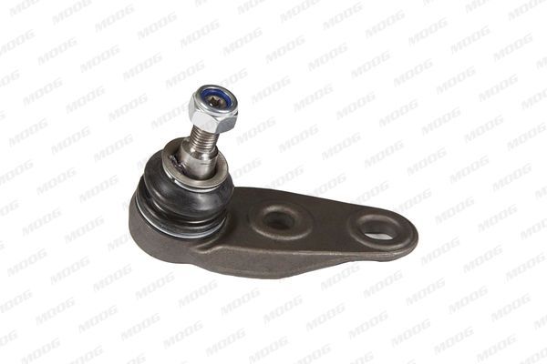 Šarnyras / girgždukas MOOG BM-BJ-5604