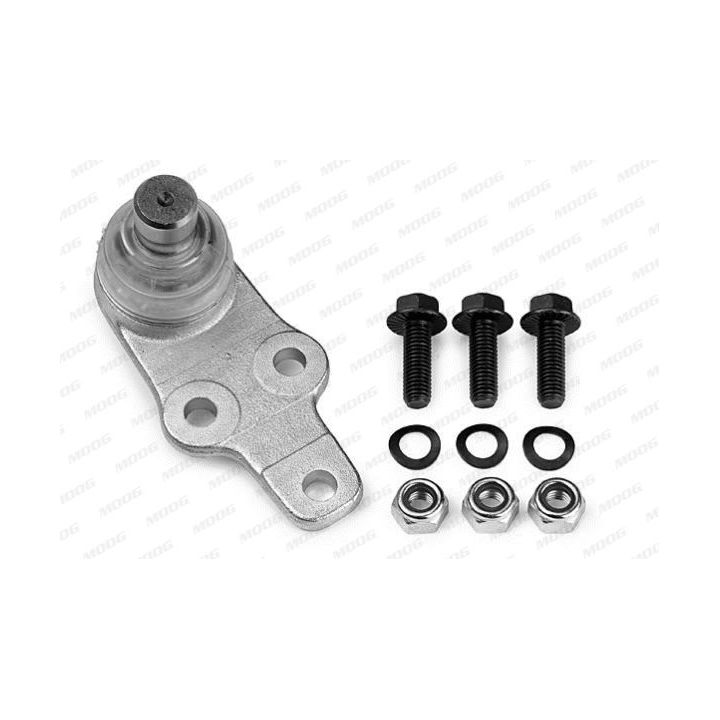 Šarnyras / girgždukas MOOG FD-BJ-0474