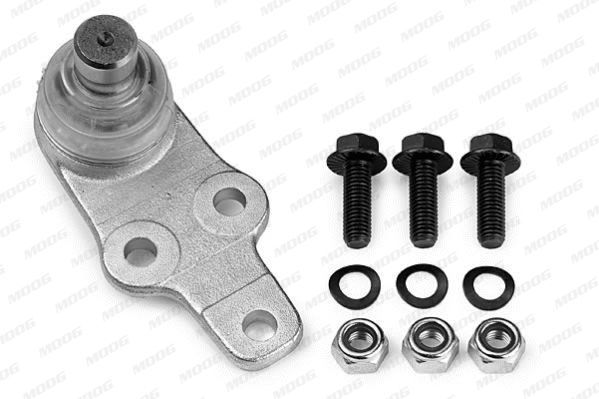 Šarnyras / girgždukas MOOG FD-BJ-0474