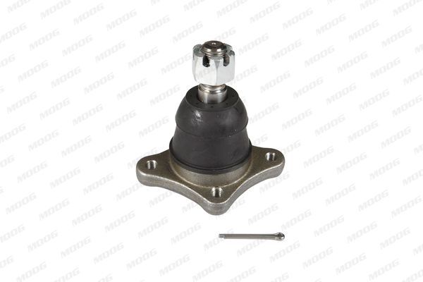 Šarnyras / girgždukas MOOG FD-BJ-10065