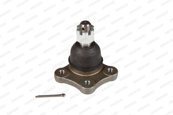 Šarnyras / girgždukas MOOG FD-BJ-10066