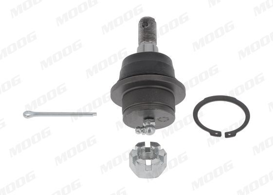 Šarnyras / girgždukas MOOG FD-BJ-17292