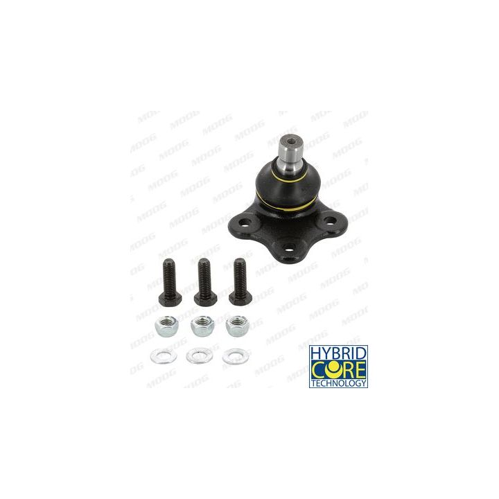 Šarnyras / girgždukas MOOG FD-BJ-2260