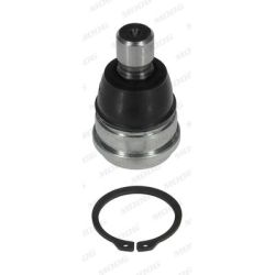 Šarnyras / girgždukas MOOG FD-BJ-8090