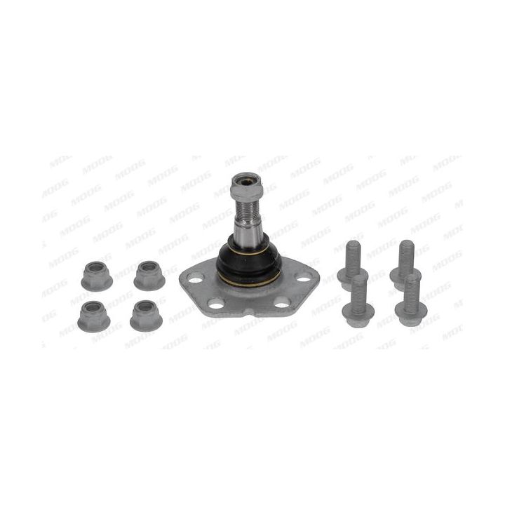 Šarnyras / girgždukas MOOG FI-BJ-0513