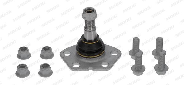 Šarnyras / girgždukas MOOG FI-BJ-0513