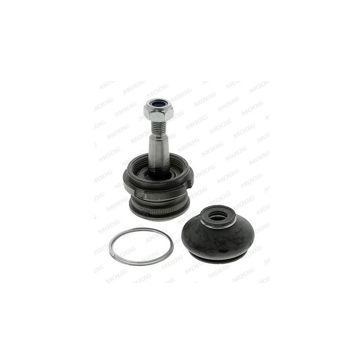 Šarnyras / girgždukas MOOG FI-BJ-13405