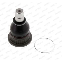 Šarnyras / girgždukas MOOG FI-BJ-13610