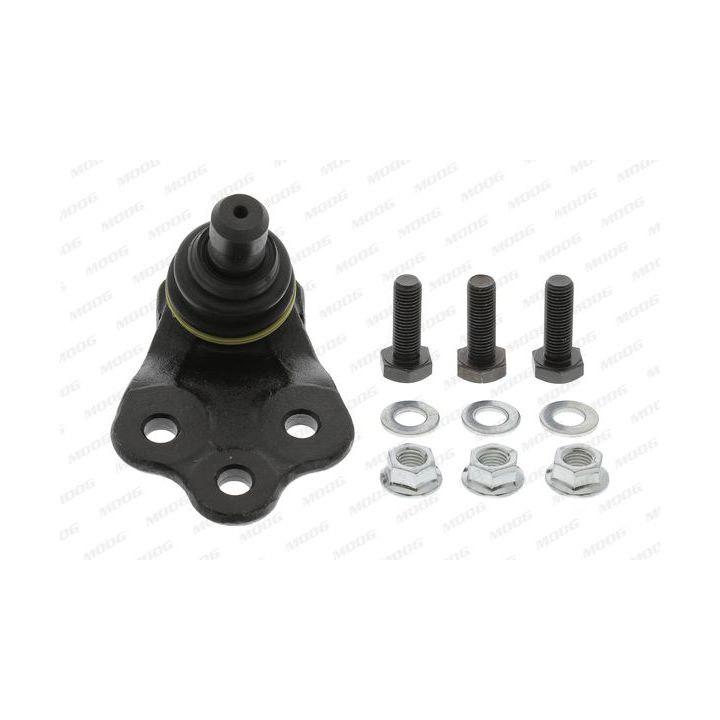 Šarnyras / girgždukas MOOG FI-BJ-15404