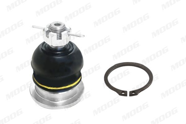 Šarnyras / girgždukas MOOG FI-BJ-16943