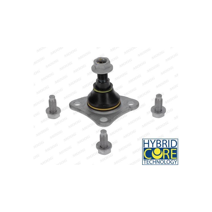 Šarnyras / girgždukas MOOG FI-BJ-4958