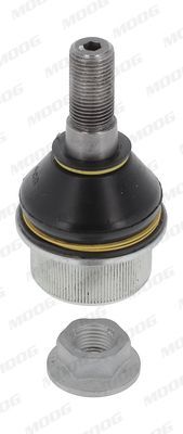 Šarnyras / girgždukas MOOG FI-BJ-4964