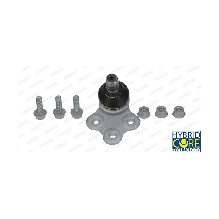 Šarnyras / girgždukas MOOG FI-BJ-5414