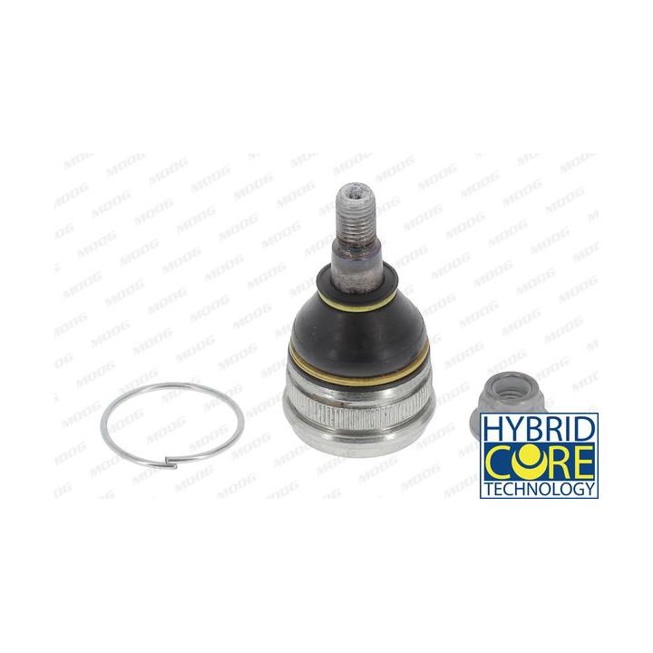 Šarnyras / girgždukas MOOG FI-BJ-7510