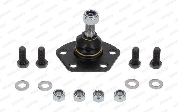 Šarnyras / girgždukas MOOG FI-BJ-7530