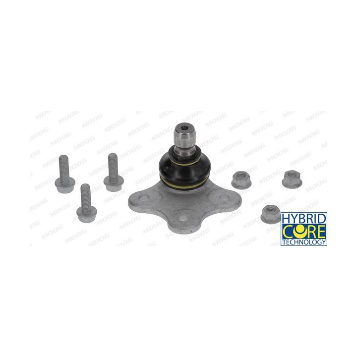 Šarnyras / girgždukas MOOG FI-BJ-8357