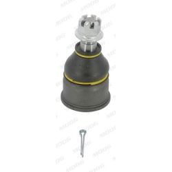 Šarnyras / girgždukas MOOG HO-BJ-0167