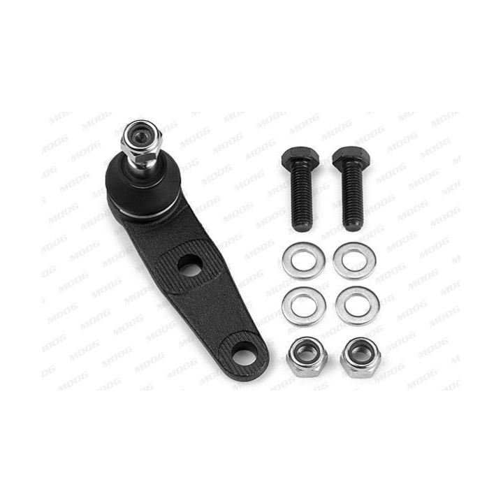 Šarnyras / girgždukas MOOG HY-BJ-0393