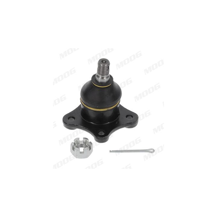 Šarnyras / girgždukas MOOG HY-BJ-10599