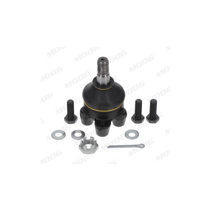 Šarnyras / girgždukas MOOG HY-BJ-1214