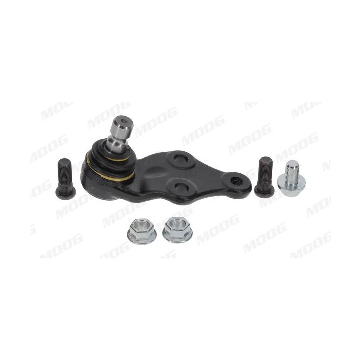 Šarnyras / girgždukas MOOG HY-BJ-13247