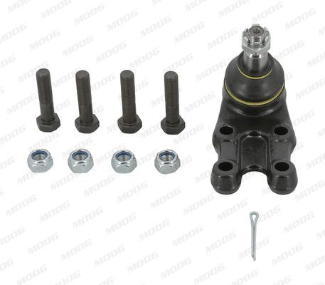 Šarnyras / girgždukas MOOG HY-BJ-1607