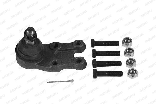 Šarnyras / girgždukas MOOG HY-BJ-1607