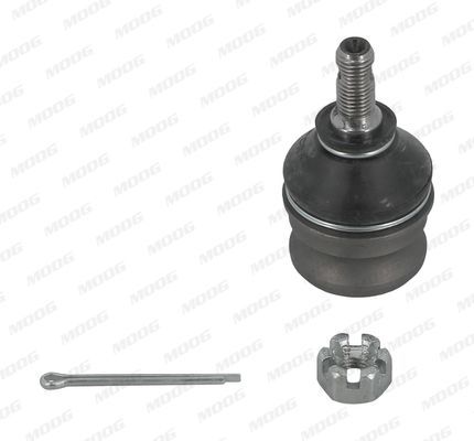 Šarnyras / girgždukas MOOG HY-BJ-1614